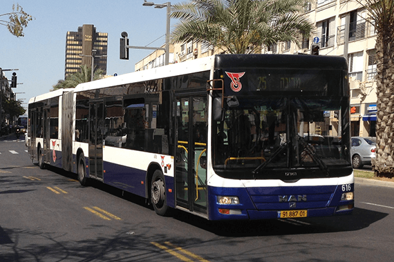 Buses in Israel  Potho: Andrew Nash